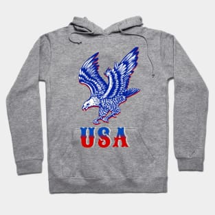 USA American Eagle Hoodie